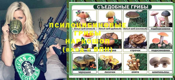 PSILOCYBIN Бородино
