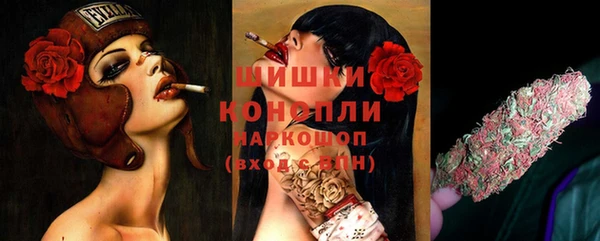 соль ск Бронницы