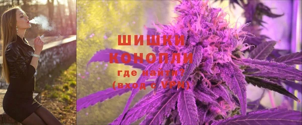 PSILOCYBIN Бородино