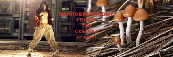 PSILOCYBIN Бородино