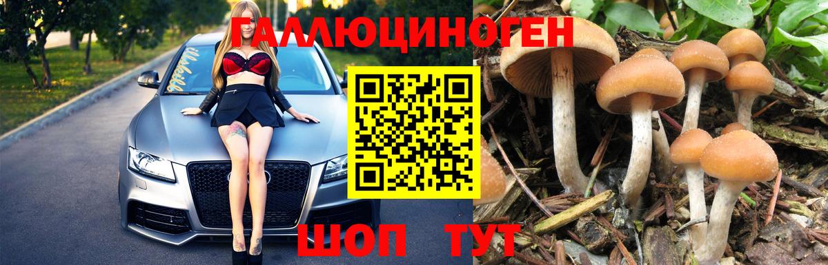 Горно-Алтайск  Галлюциногенные грибы прущие грибы  наркошоп  Вход с VPN 